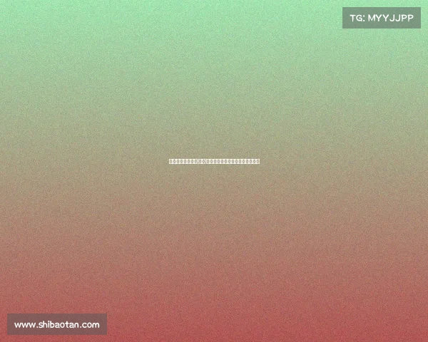 沙尔克球员帕布罗·扎嫩·马丁内斯加盟德丙桑德豪森引关注