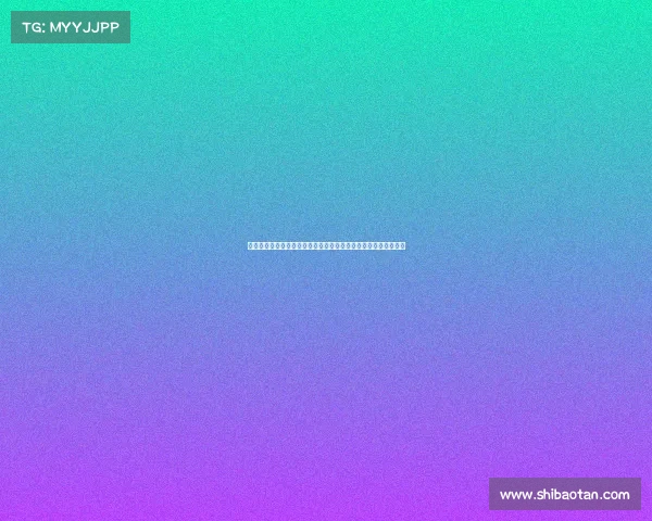 迈阿密热火的崛起之路与未来挑战解析：从勒布朗时代到新星崛起