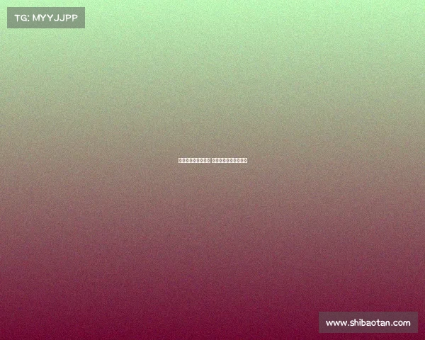 西甲升班马新军崛起 聚焦新赛季挑战与期待